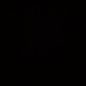 Meet your Posher, Danny